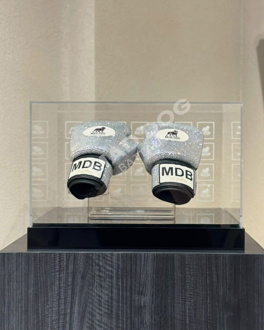 Boxing Gloves in acrylic box (MDB)