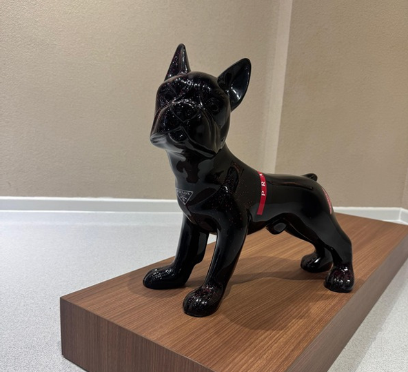 Franse bulldog Prada