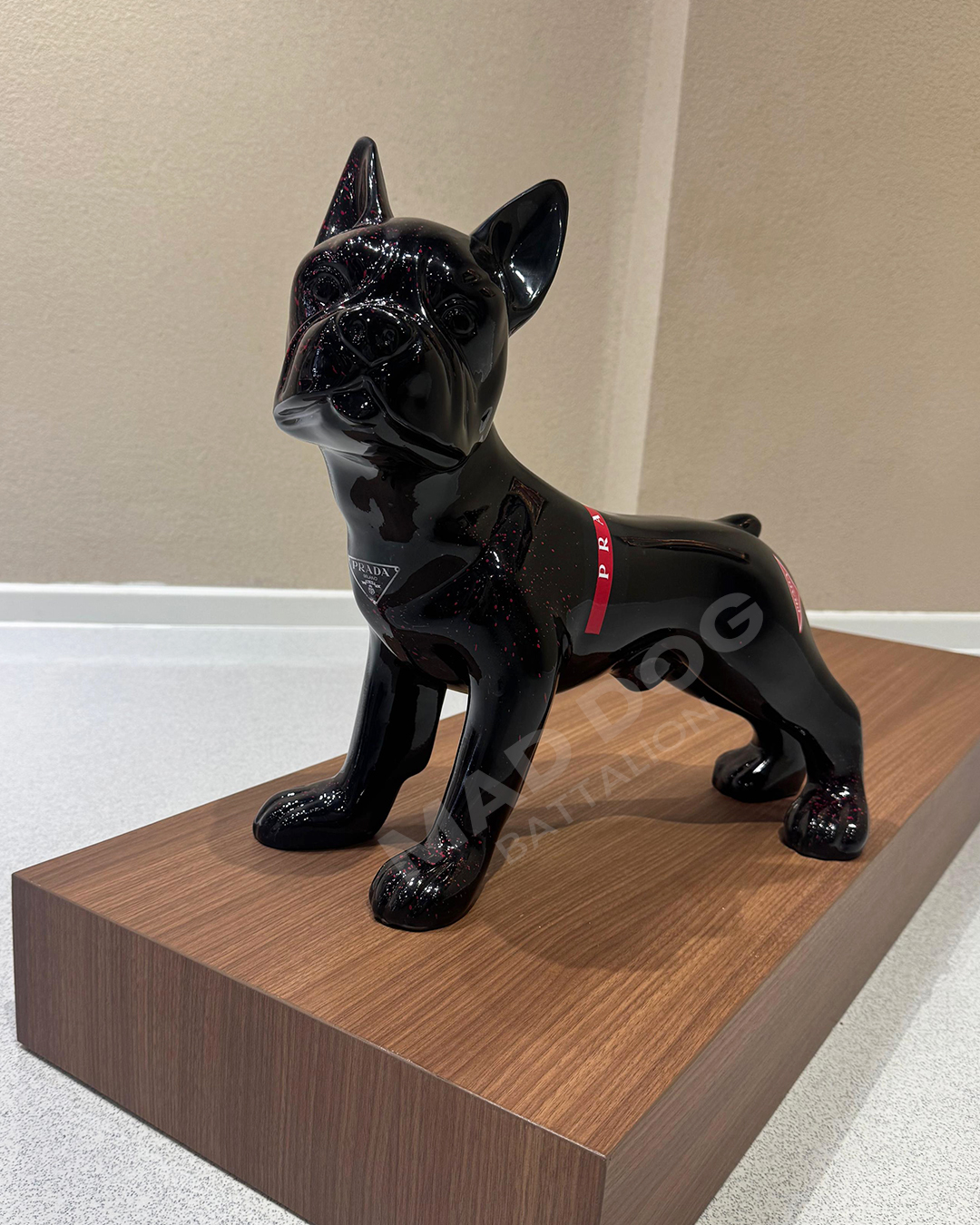 Franse bulldog Prada