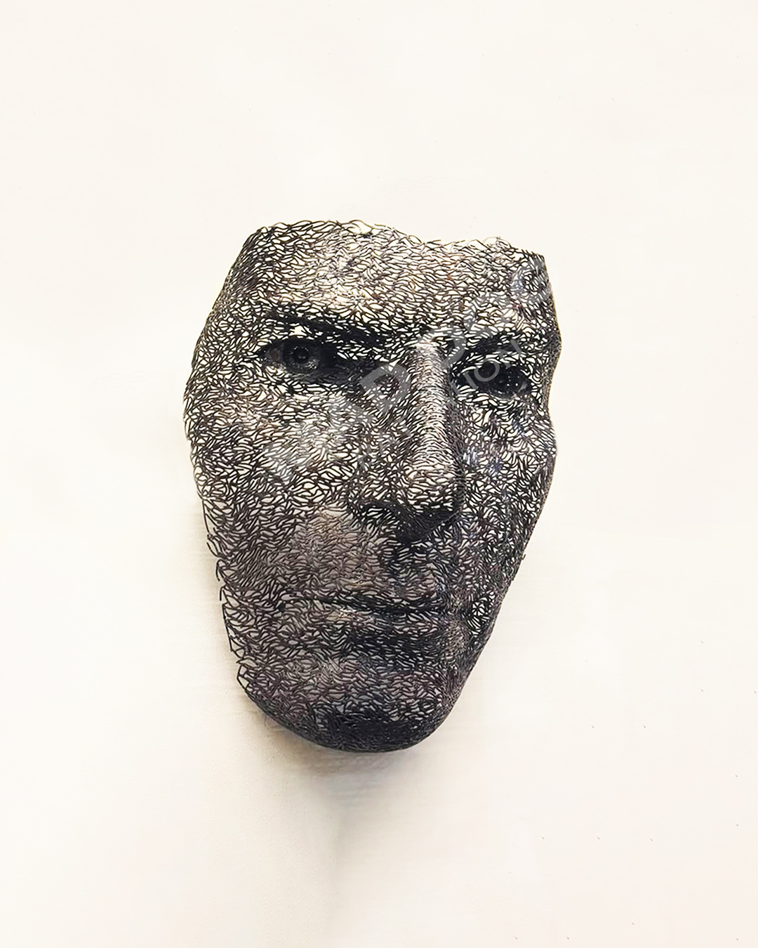 Wall Art Wire Mesh Face